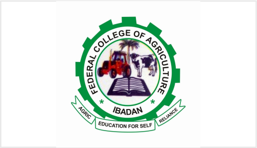 IBADAN